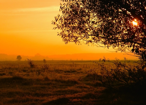 Morning sunlight of the day