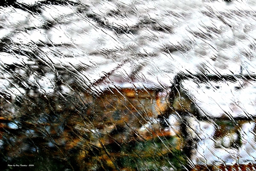 Winter in Zatoka.