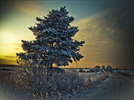Home ... ...