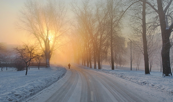 to the light ...