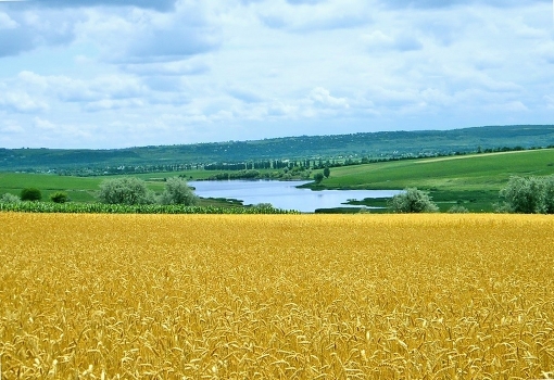 Summer