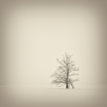Fallen, fallen, fallen, fallen Schnee ...