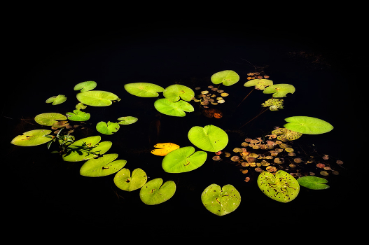 Still Waters Run Deep
