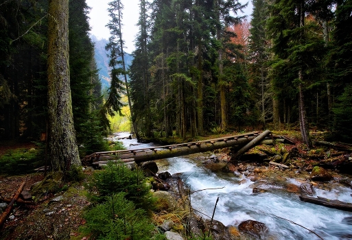 Along the mountain river