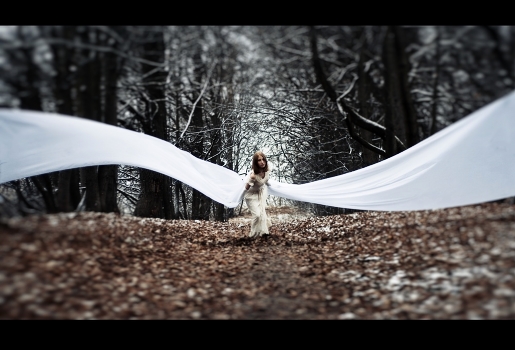 The white wings of a butterfly