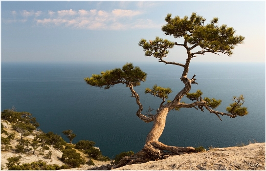 Over the sea