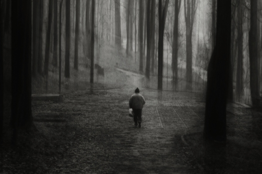 Silent world