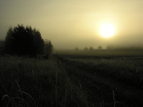 misty morning