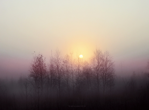 morning