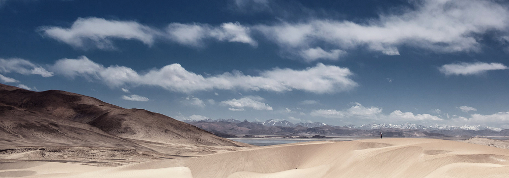 in the search landscape