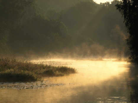 Awakening