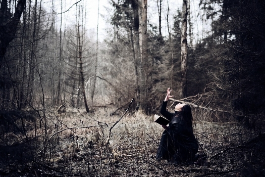 dark forest