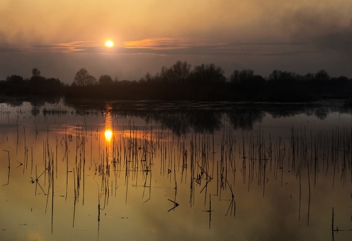 "Sunset"