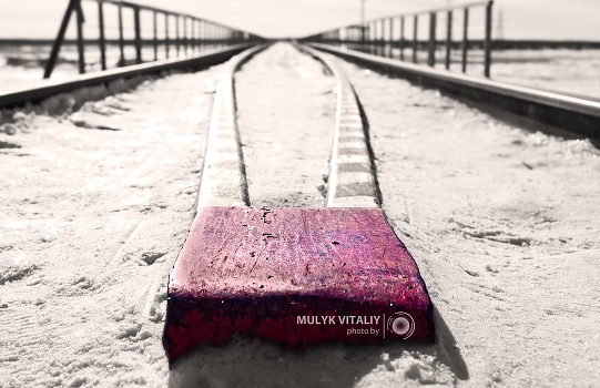 Tracks