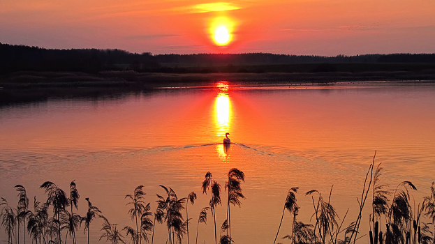 A sunset in the spring