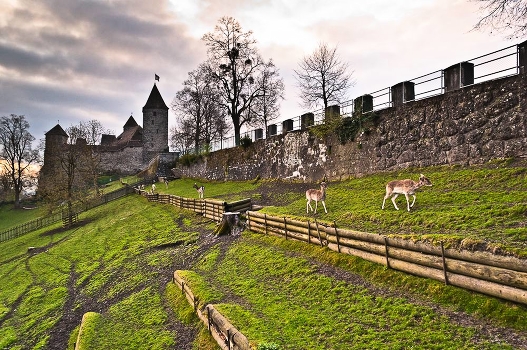 The walls of the castle Rapperswil 2