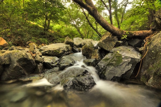 korea