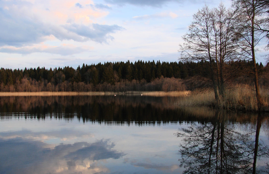 On the Spring and love