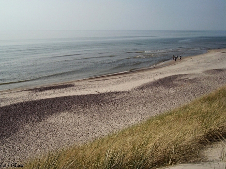 The Curonian Spit horizon merges with the sea.