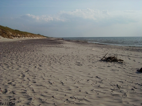 An empty beach.