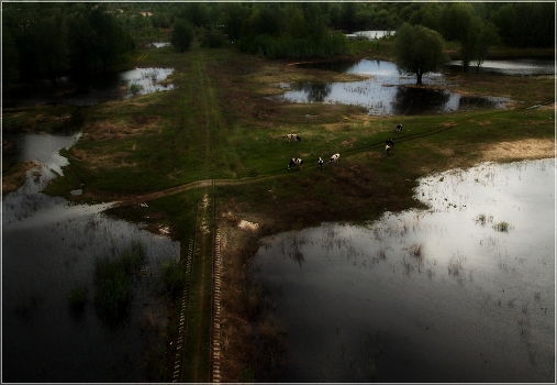 Birds Eye View