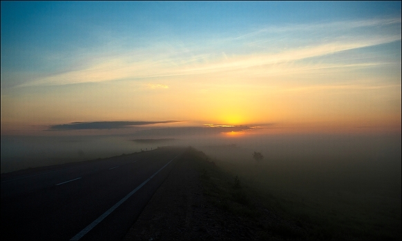 Morning