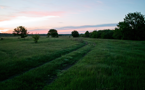 May morning-2