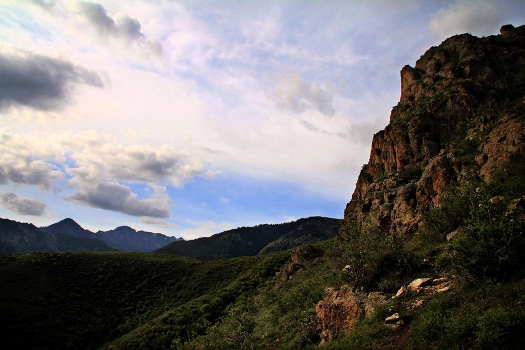 Gold Mountain