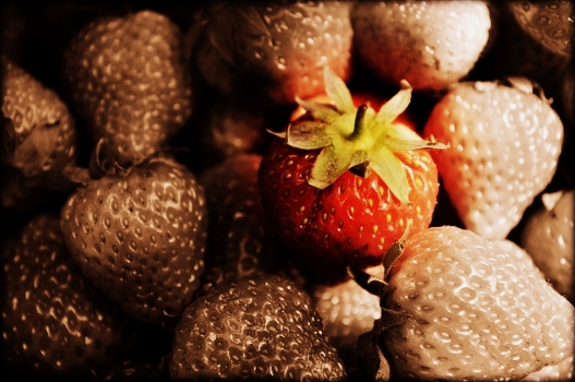 The tasty one