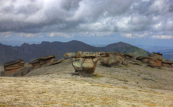The stone mushrooms