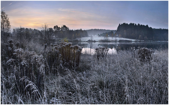 Morning - on the outskirts