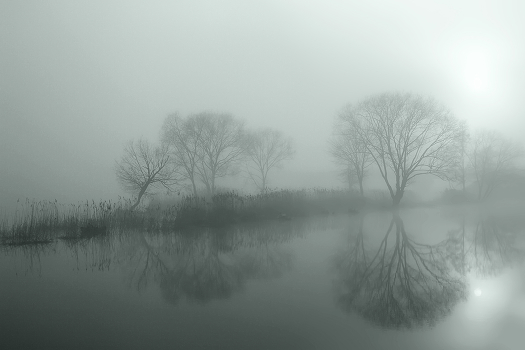 Chilly morning