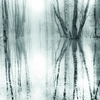 Water&Forest VI