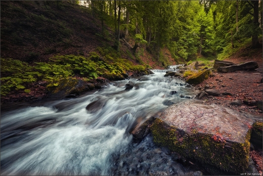 / Rapids /