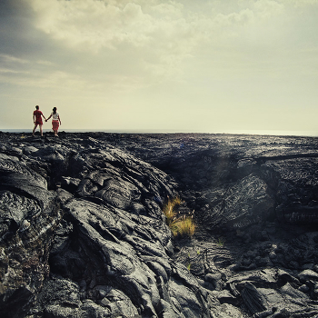 Landscape Relationships