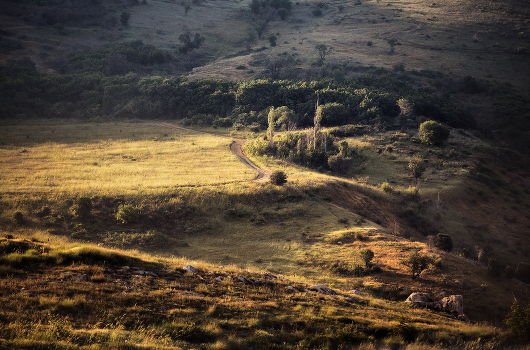 On the morning of Balaclava
