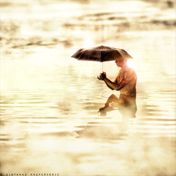Umbrella
