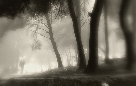 Fog