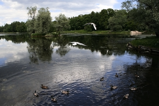 Old park. Gatchina.