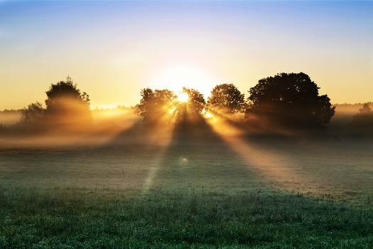Good morning ...