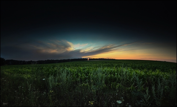 evening, kukruznaya