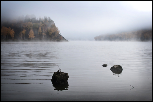 Misty Morning