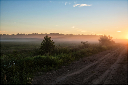Morning fog