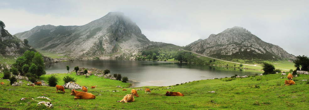 Landscape with a cow