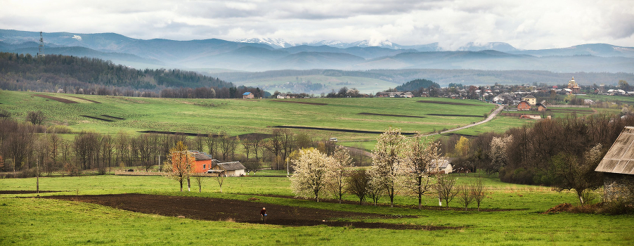 April in the Carpathian