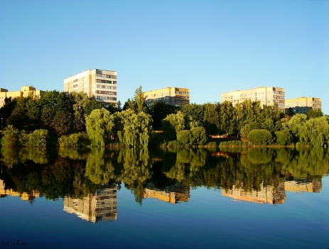 Reflection