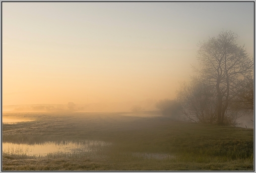 Morning fog