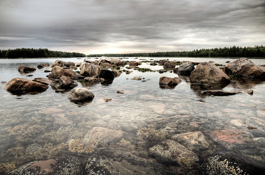 northern summer