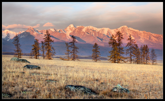 Kurai steppe ....