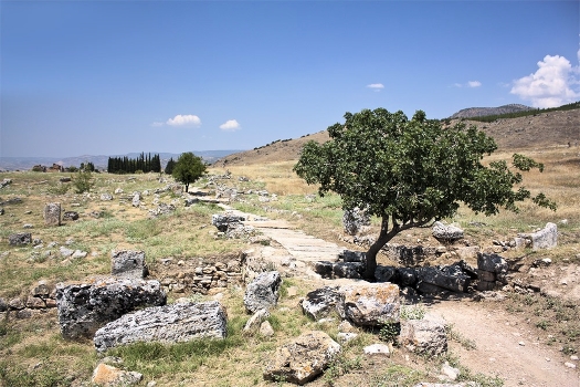 And then - the only ancient road